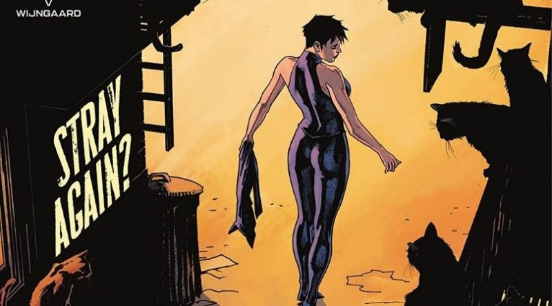 Catwoman # 38 - Pero por qué Tho